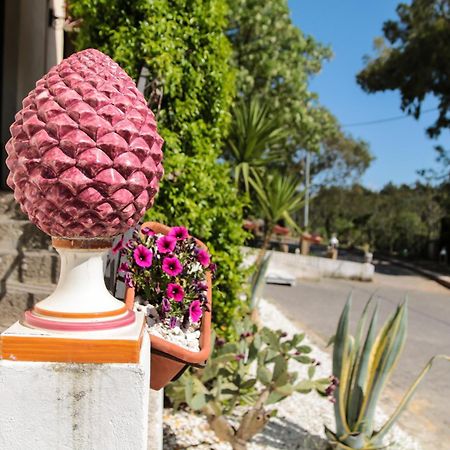 Agriturist Soleluna Caltagirone Ngoại thất bức ảnh